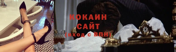 стафф Алексин
