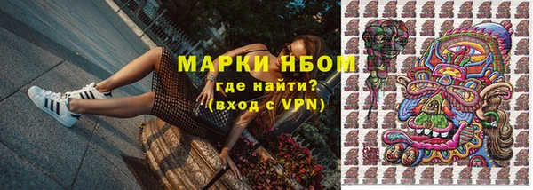 стафф Алексин