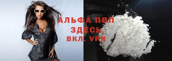 стафф Алексин