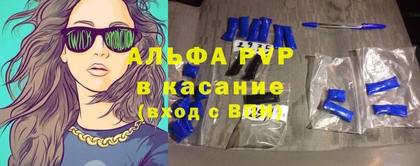 стафф Алексин