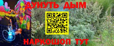 прущие грибы Краснознаменск