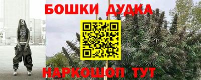 прущие грибы Краснознаменск