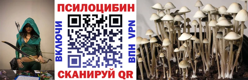 Псилоцибиновые грибы Psilocybe  Пермь 